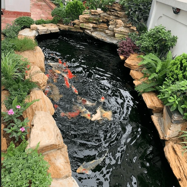 Vinhomes Riverside Chú Sinh