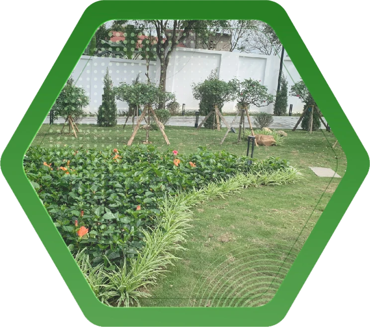 Thiết kế và thi công cảnh quan sân vườn