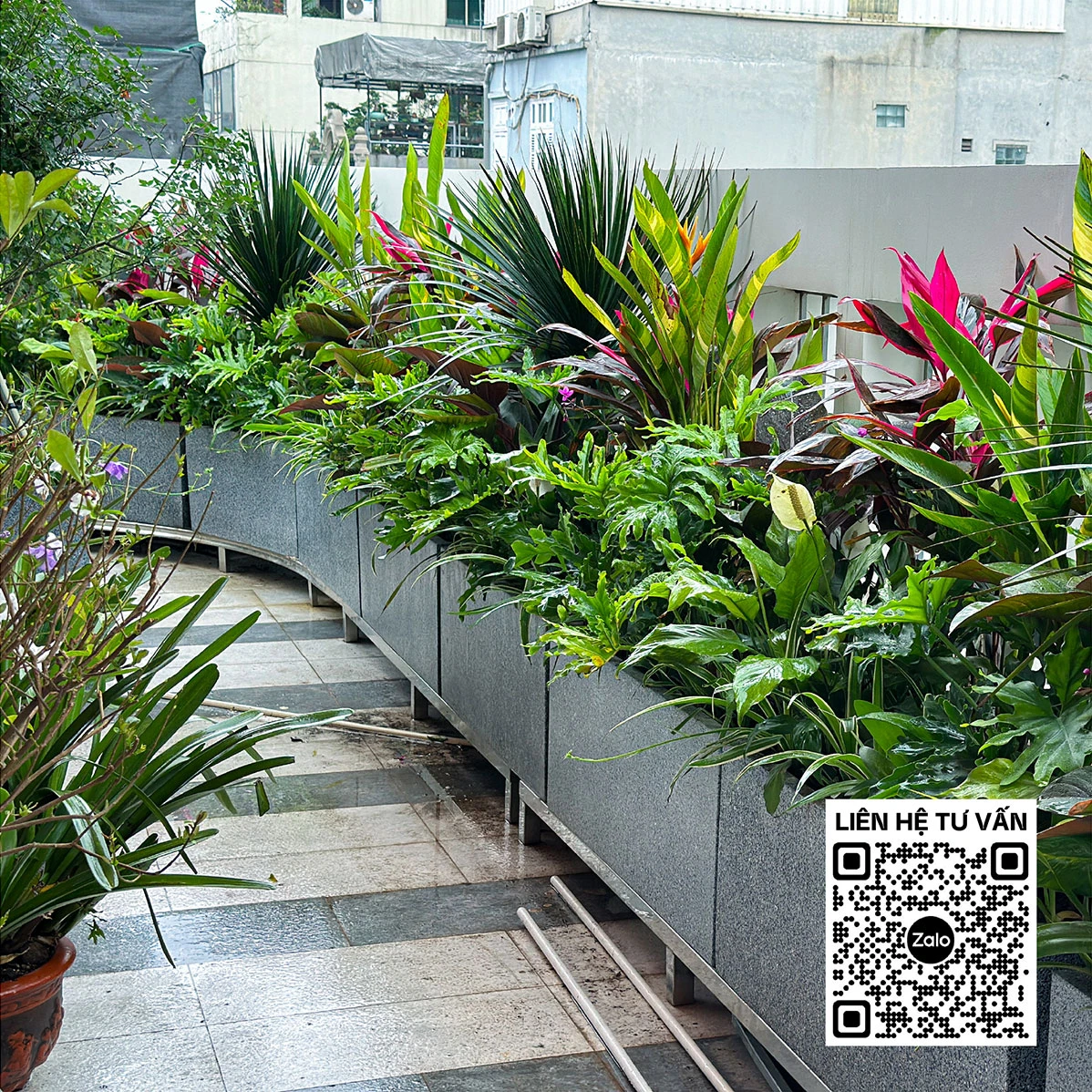 Cảnh quan vườn trên mái