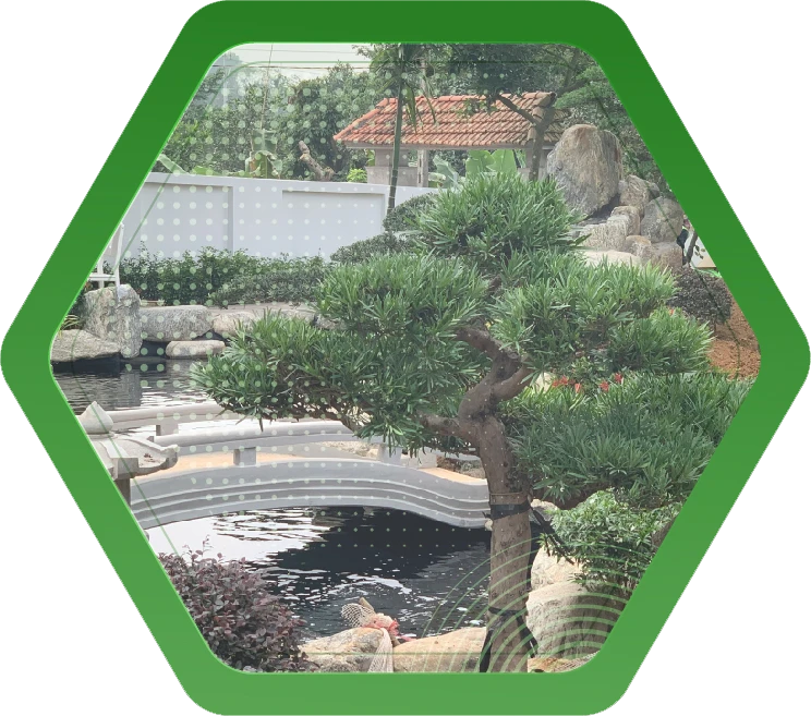 Chăm sóc và duy trì cảnh quan