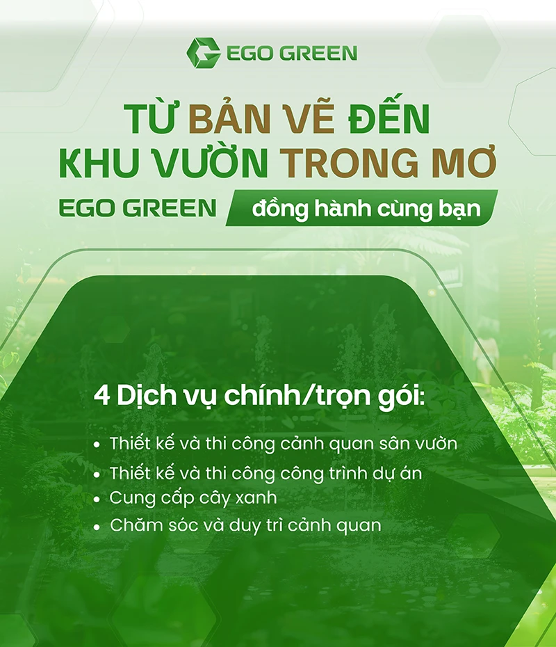 Dịch vụ