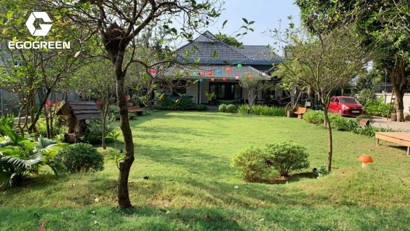 4 lưu ý khi thiết kế sân vườn nhỏ trong nhà