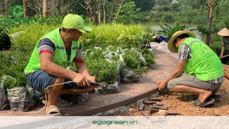 Có nên làm sân vườn vào mùa mưa không?