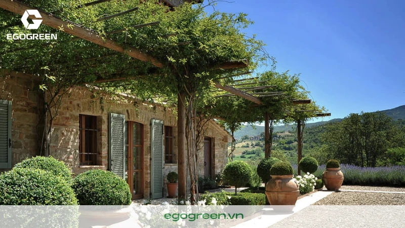 Cần chuẩn bị những gì trước khi thi công sân vườn?