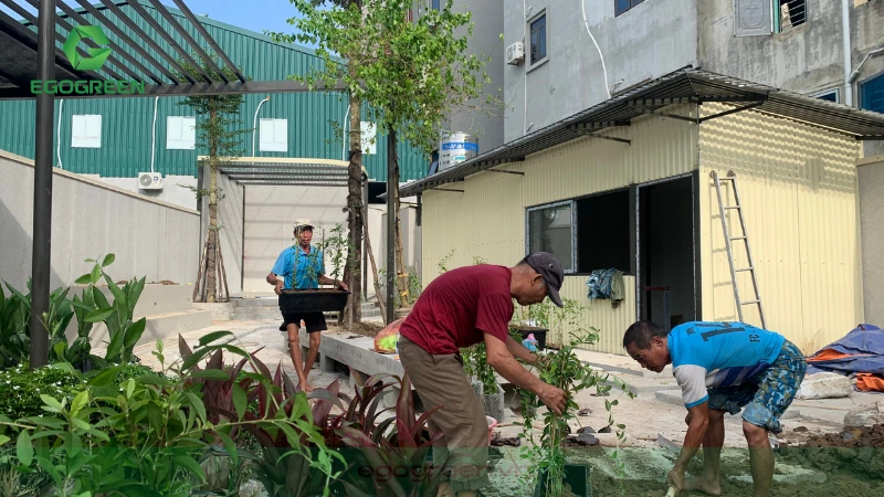 Vì sao nên thiết kế sân vườn cho khu nghỉ dưỡng?