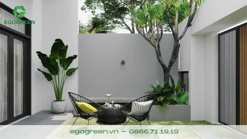 Cách bố trí cây xanh trong vườn hợp phong thủy