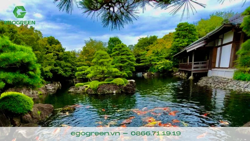 Xu hướng thiết kế sân vườn kết hợp với hồ cá KOI