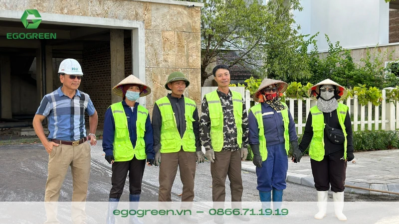 Top công ty cây xanh uy tín nhất ở Việt Nam