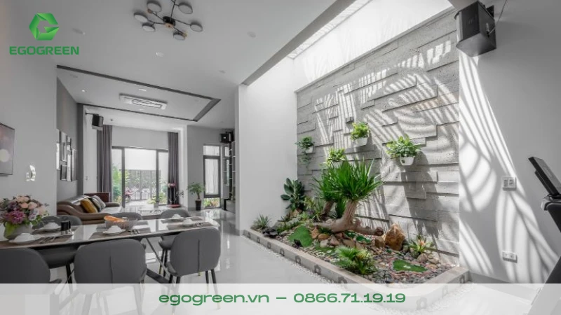 Có nên trồng cây xanh trong nhà không?