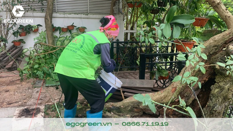 7 cách bảo vệ sân vườn trong mùa mưa bão hiệu quả