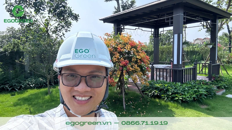 8 loại cây được trồng trong sân vườn Việt Nam nhiều nhất