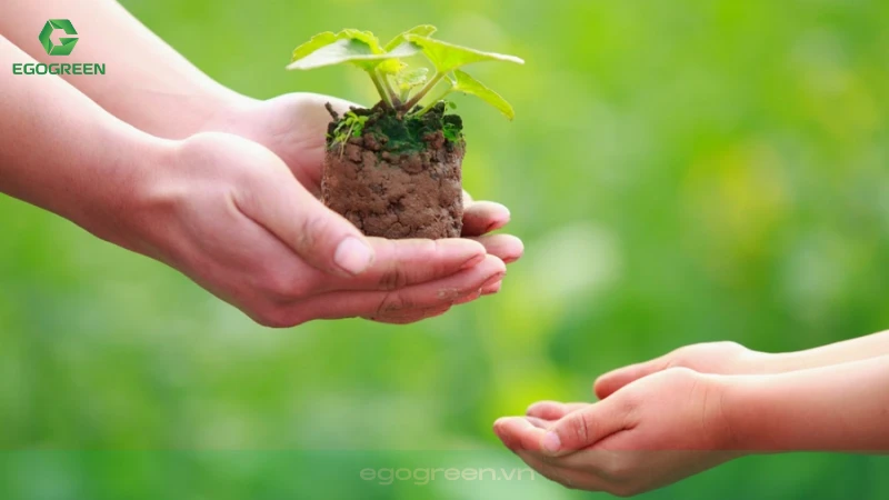 Xu hướng "Cuộc sống Xanh" Phát triển Mạnh Trên Thế Giới