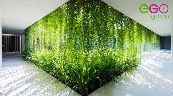 Không gian cây xanh tươi cho cuộc sống tốt đẹp hơn