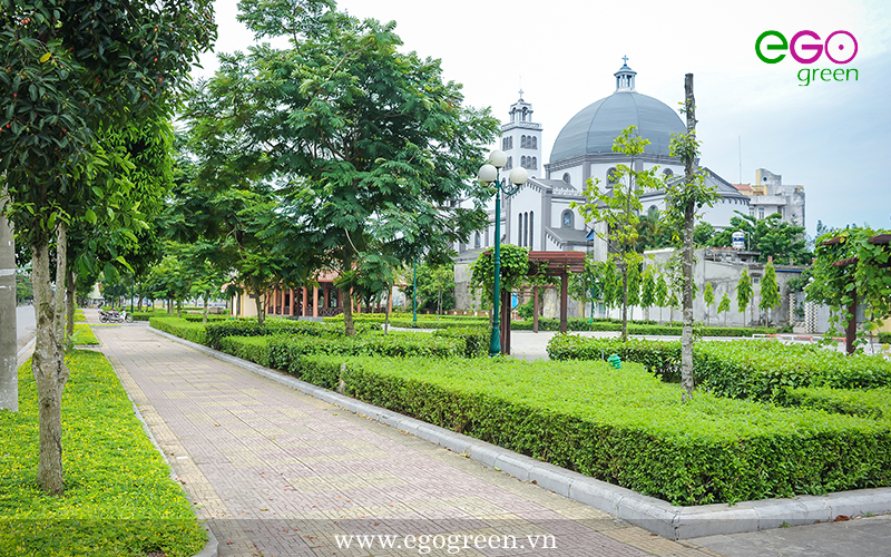 Thi công cảnh quan xanh – Dự án công viên Vị Xuyên Nam Định
