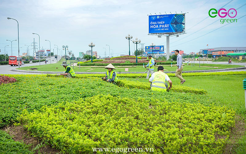 Hình ảnh hoàn thiện thi công cảnh quan nút giao thông Lộc Hòa, Nam Định